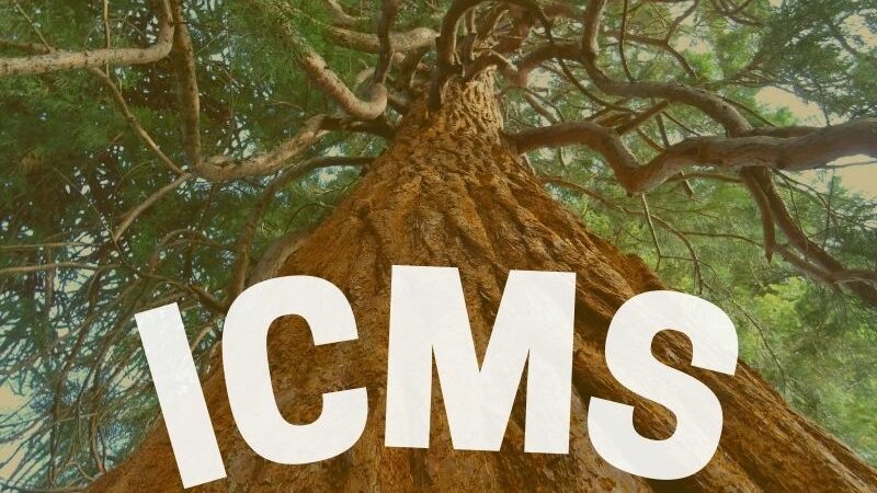 Incide ICMS sobre comercialização de “árvores em pé” quando consideradas bens móveis por antecipação