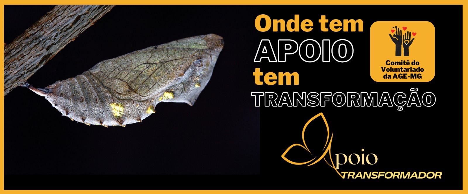 Apoio Transformador 1